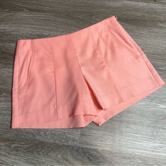 Theory Pink Short size 0 - Picture 5 of 8